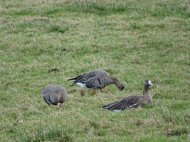 凌空抽射 凌空抽射